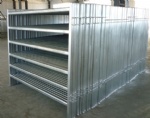 cattle panel 1