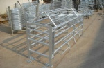 farrowing crate 1