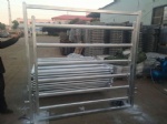 cattle fix gate