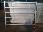 light cattle panel